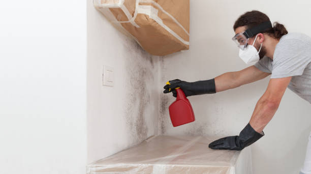Professional Black Mold Remediation technician working in Barnesville, GA