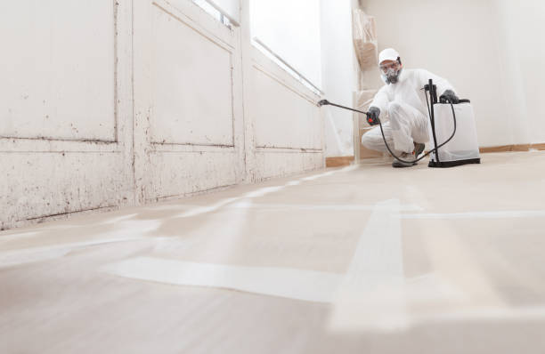 24/7 Emergency Black Mold Remediation experts in Barnesville, GA